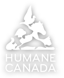 Humane Canada | Animax Canada